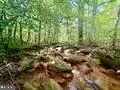 1028 Blanche Fullmer Rd, TUNNELTON, WV 26444