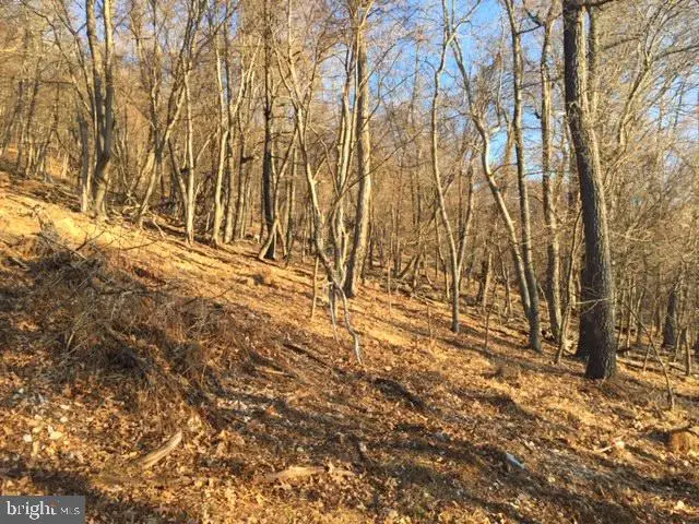 Rt 5/10 (buffalo Hills Road), Franklin, WV 26807 - Image #1