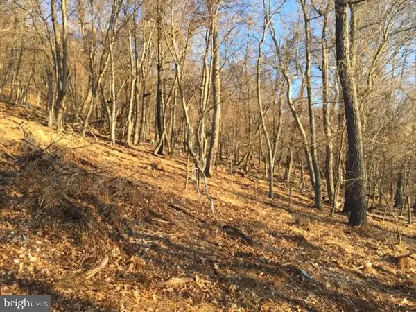 Rt 5/10 (buffalo Hills Road), FRANKLIN, WV 26807