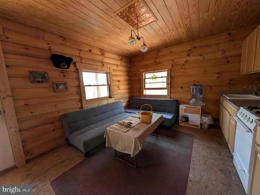 422 Cabin Hollow Ln, Brandywine, WV 26802 - Image #3