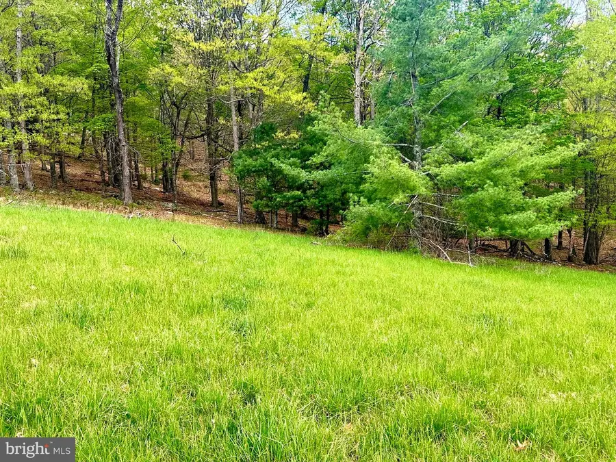 Lot 8 Northridge, Franklin, WV 26807 - Image #3