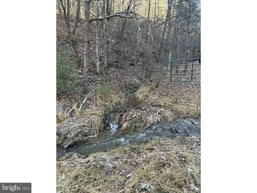 Buck Hill Ln, Sugar Grove, WV 26815 - Image #2