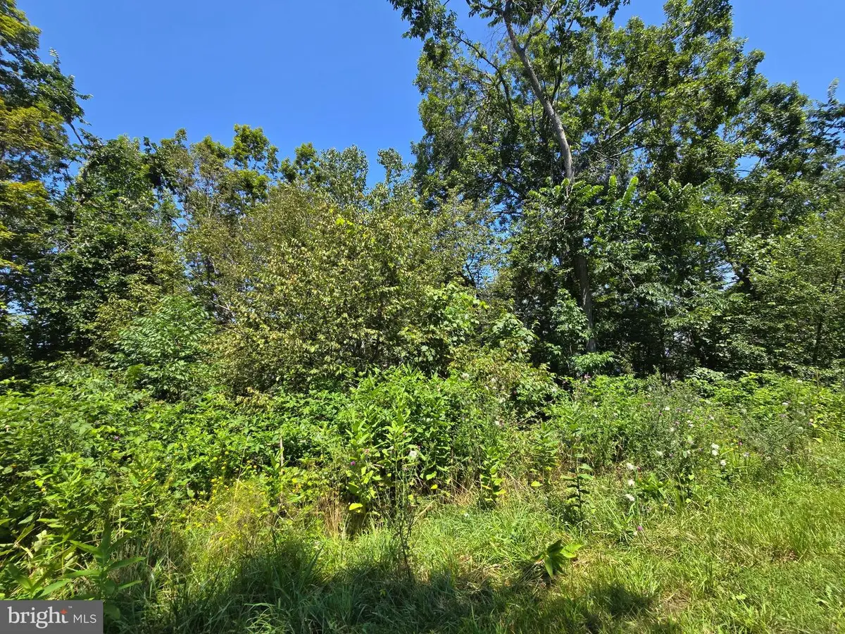 Lot 24 Stone Fly Ln, Sugar Grove, WV 26815 - Image #1