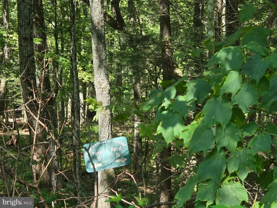 Lot 24 Stone Fly Ln, Sugar Grove, WV 26815 - Image #3