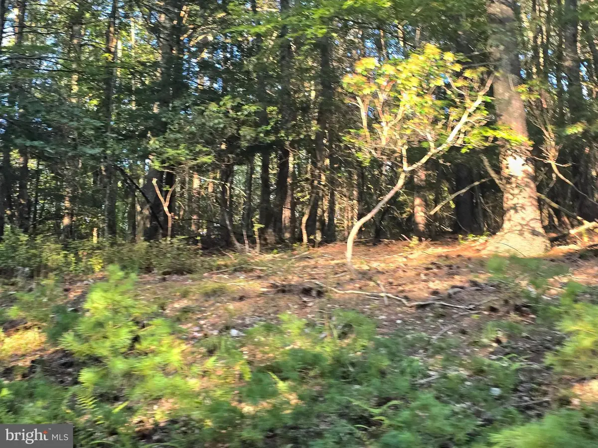 Lot 24 & 27 Native Trout Ln, Sugar Grove, WV 26815 - Image #1