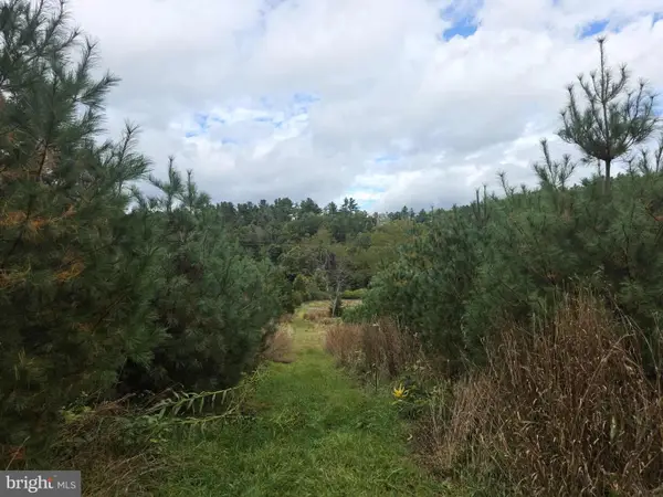 Lot 5 Caddis Fly Dr, SUGAR GROVE, WV 26815