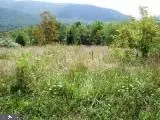 Lot #2 Bluebird Ln, Franklin, WV 26807 - #1