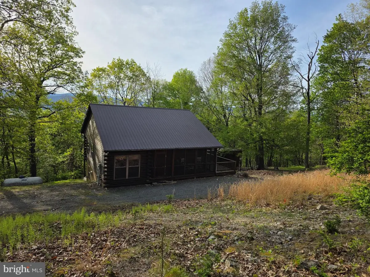 384 Scarlet Tanager Trl, Franklin, WV 26807 - #1