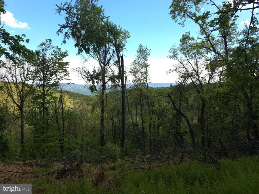 152 Sharps Ridge Ln, Franklin, WV 26807 - #2