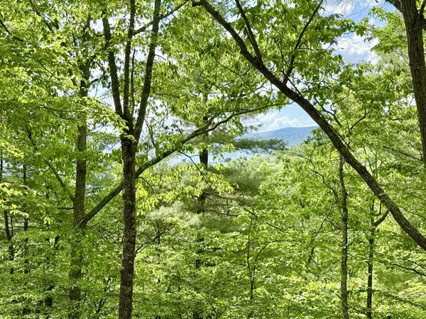 Hawks Ridge Road, FRANKLIN, WV 26807