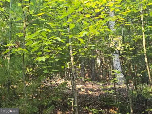 Lot 27 Native Trout Ln, SUGAR GROVE, WV 26815