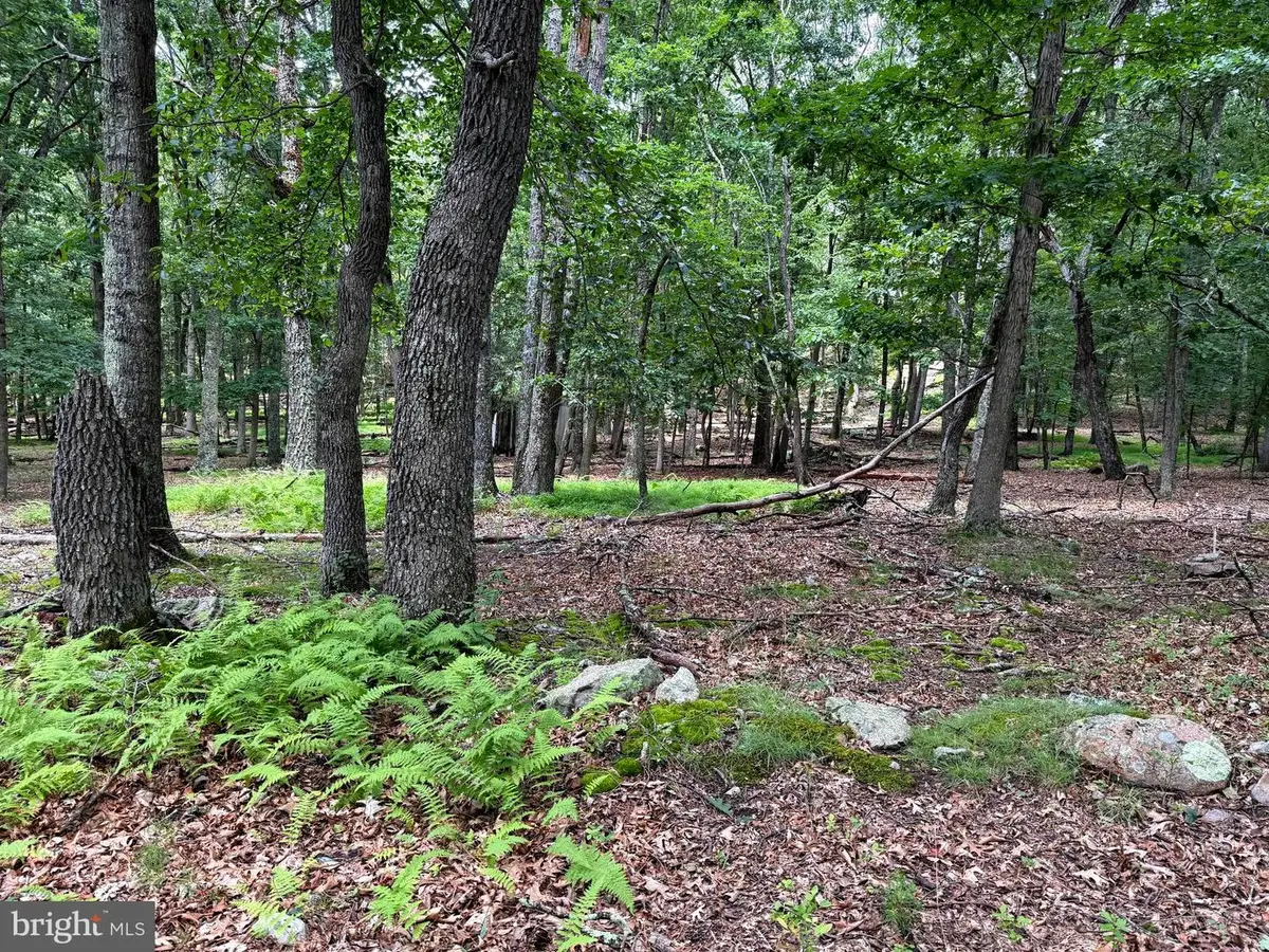 Sub Parcels Of Lt 27 & 28 Boonedock Dr, Upper Tract, WV 26866 - #1