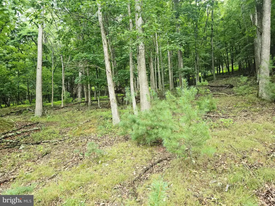 Lot 21 Fairway Ln, Franklin, WV 26807 - #2