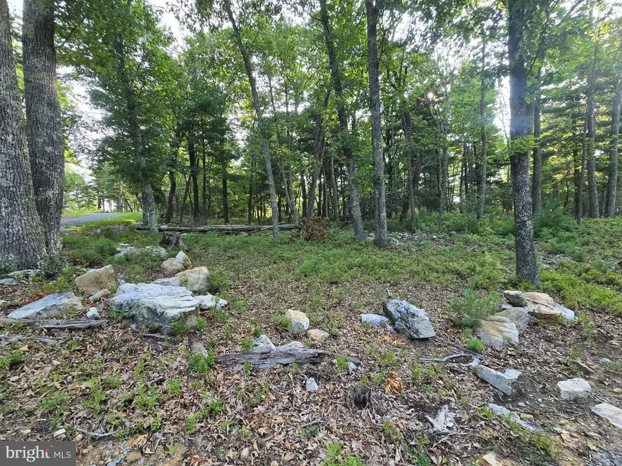 Lot # 9 Highland Ridge, Franklin, WV 26807 - #2