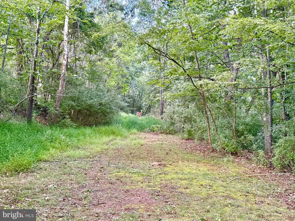 Lot 11 Smith Hts, Franklin, WV 26807 - #1
