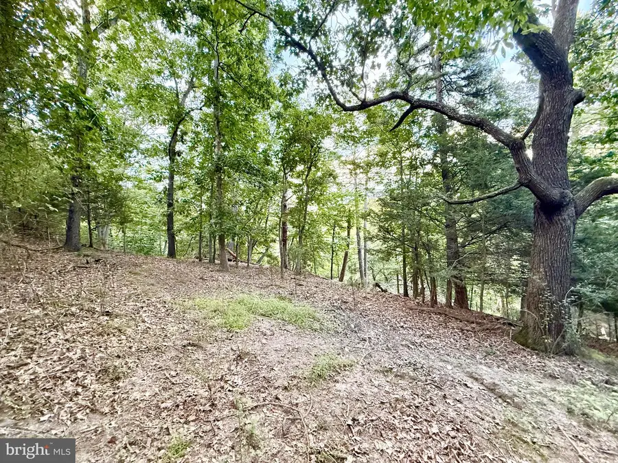 Lot 11 Smith Hts, Franklin, WV 26807 - #2