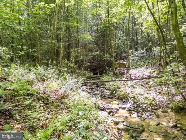 821 Pine Branch Rd, GLEN DANIEL, WV 25844