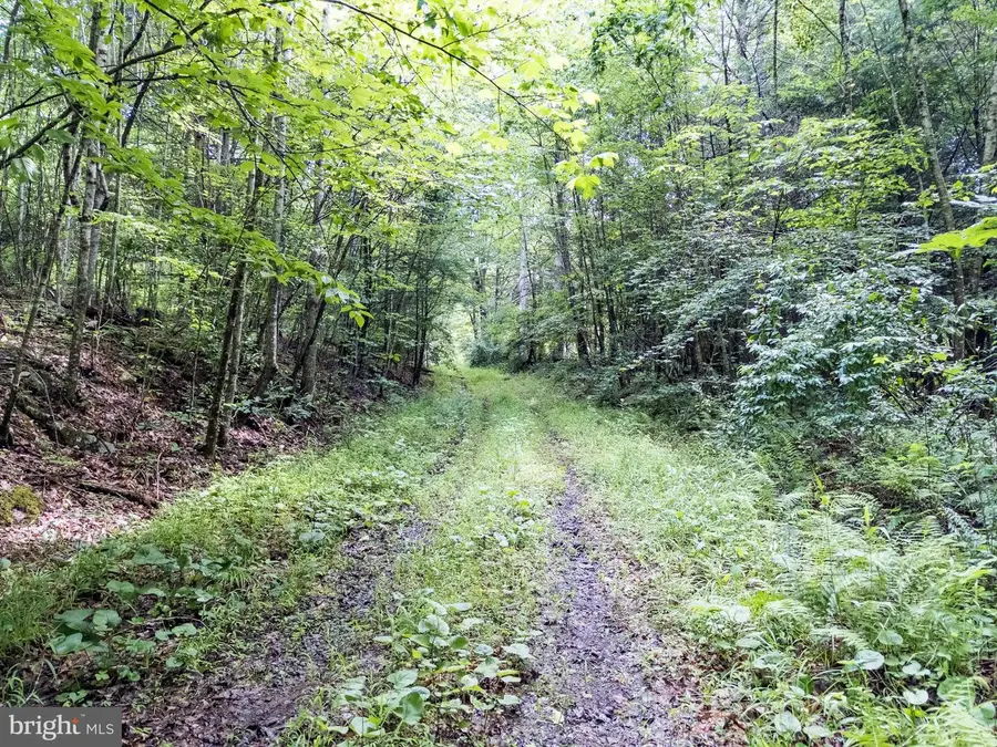 821 Pine Branch Rd, Glen Daniel, WV 25844 - Image #3