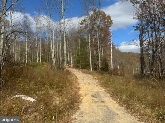 Tbd Adolph Road, Mill Creek, WV 26280 - Image #2