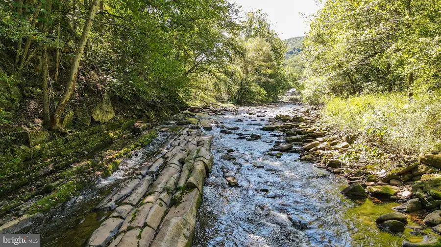 51 Little Tory Dr, Harman, WV 26270 - #2