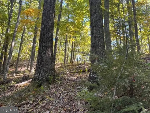 Channell Rd, Mill Creek, WV 26280 - #1