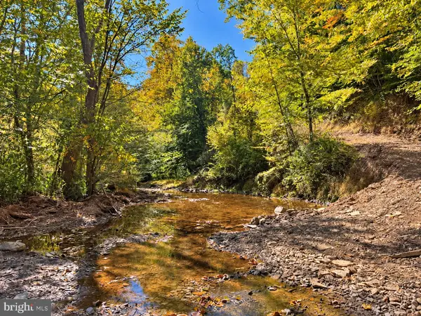 Tbd Beckys Rd, HUTTONSVILLE, WV 26273