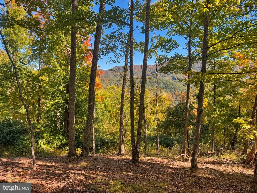 Tbd Beckys Rd, Huttonsville, WV 26273 - #2