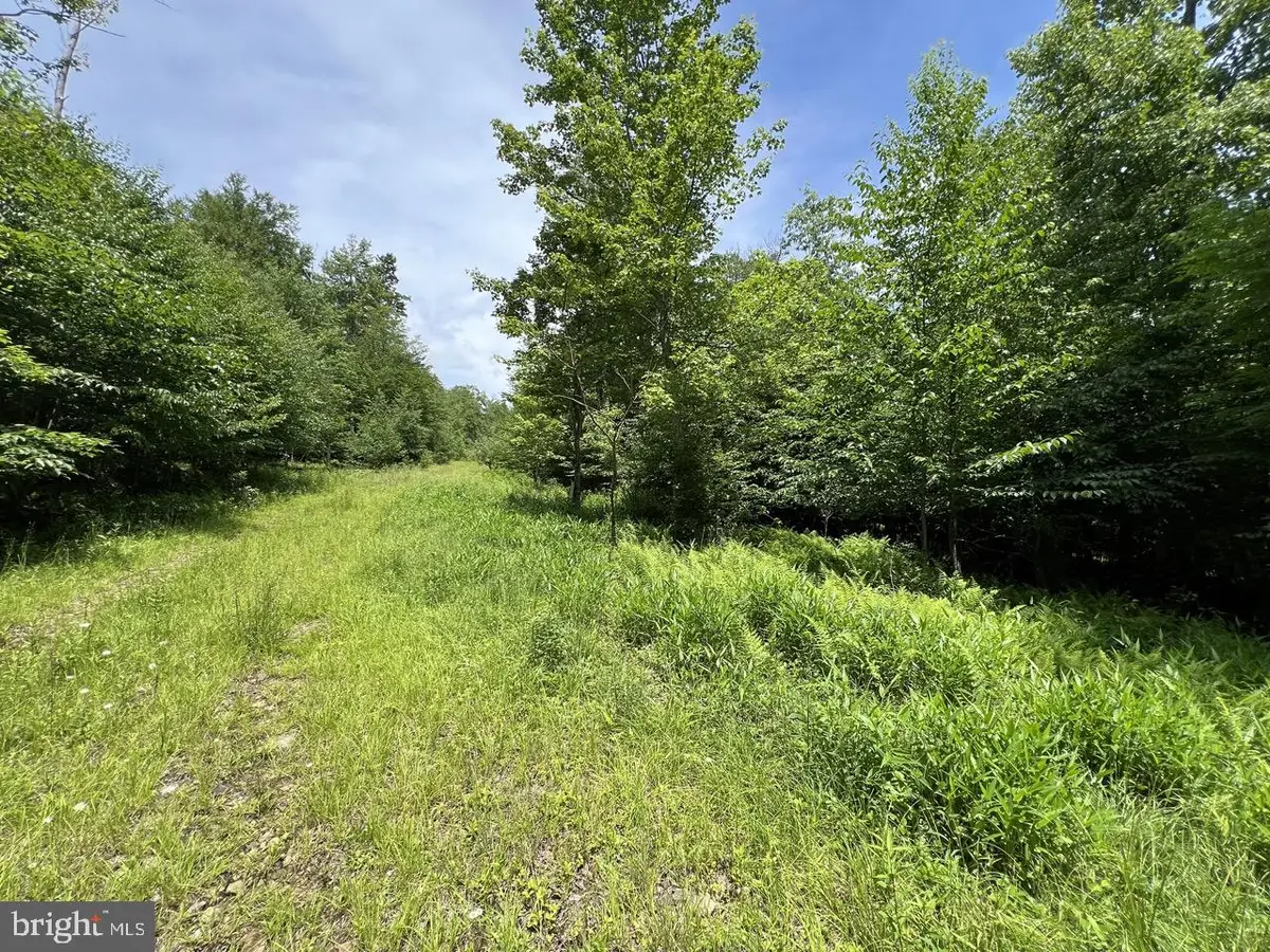 Off Tuscan Ridge Rd, Davis, WV 26260 - Image #1