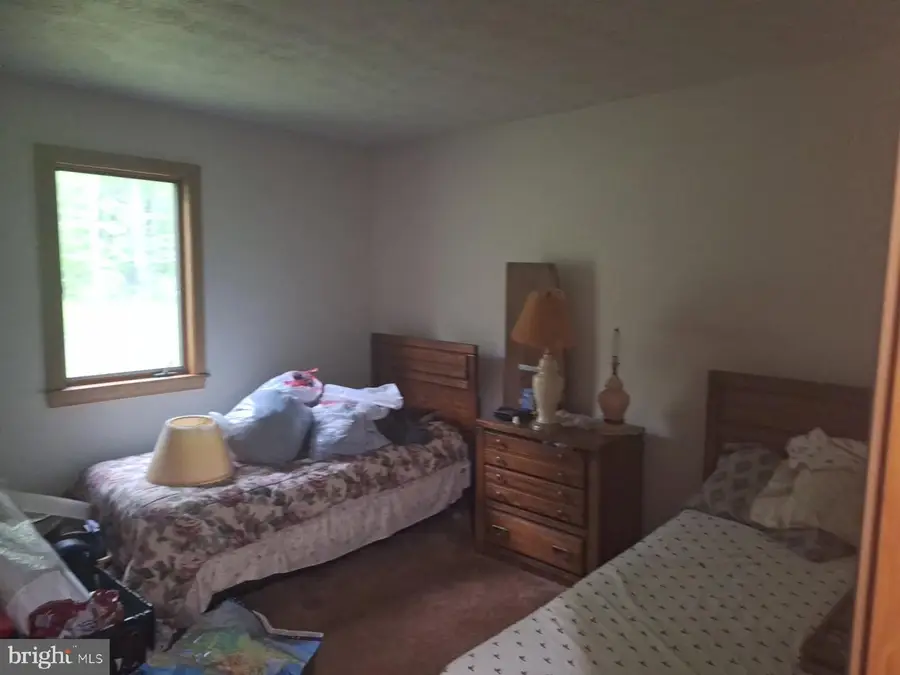 440 Bobcat Rd, Davis, WV 26260 - #3