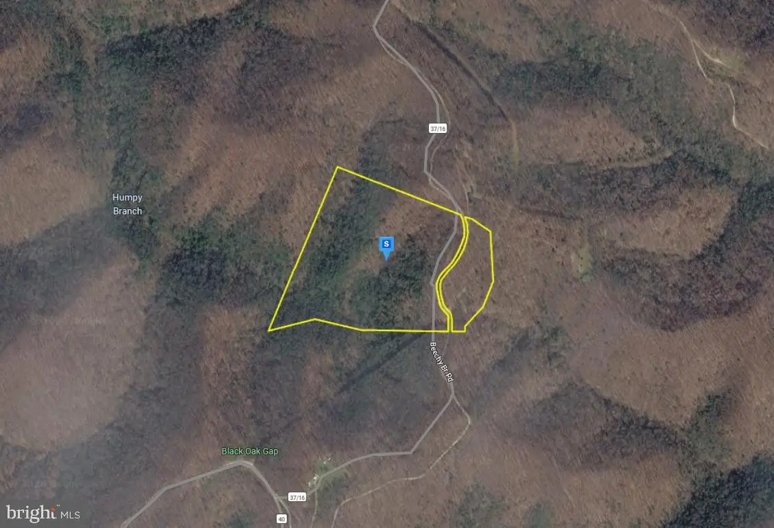 111 Beechy Br Rd, Dunlow, WV 25511 - #1