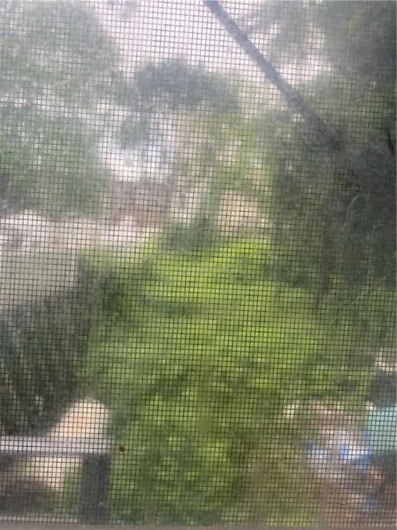 1254 Park Place #3, Brooklyn, NY 11213 - Image #3