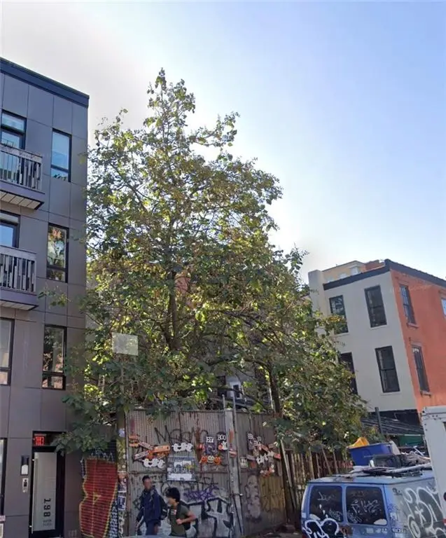 196 Clifton Place, Brooklyn, NY 11216 - Image #2