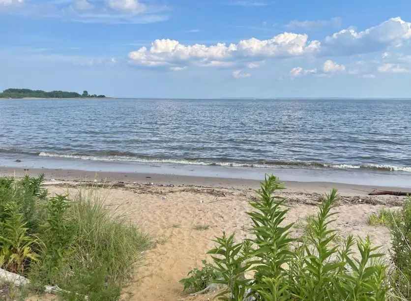 69 Littlefield Avenue, Staten Island, NY 10312 - Image #3