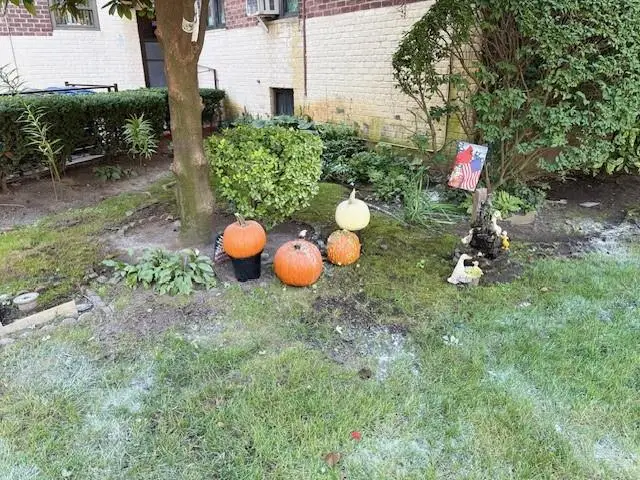 8889 Bay 16th Street #1C, Brooklyn, NY 11214 - Image #3