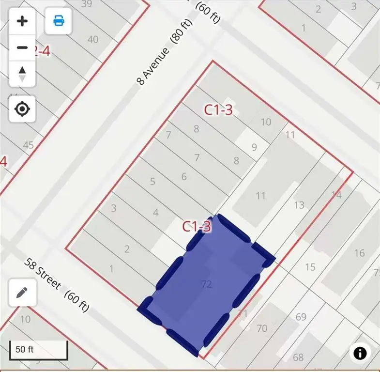 803 58th Street, Brooklyn, NY 11220 - Image #2