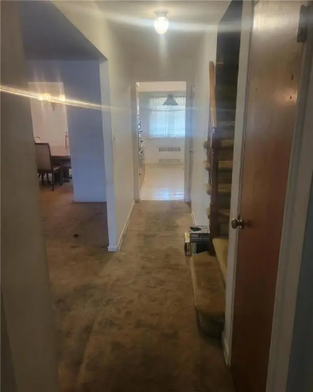 557 East 51st Street, Brooklyn, NY 11203 - #3