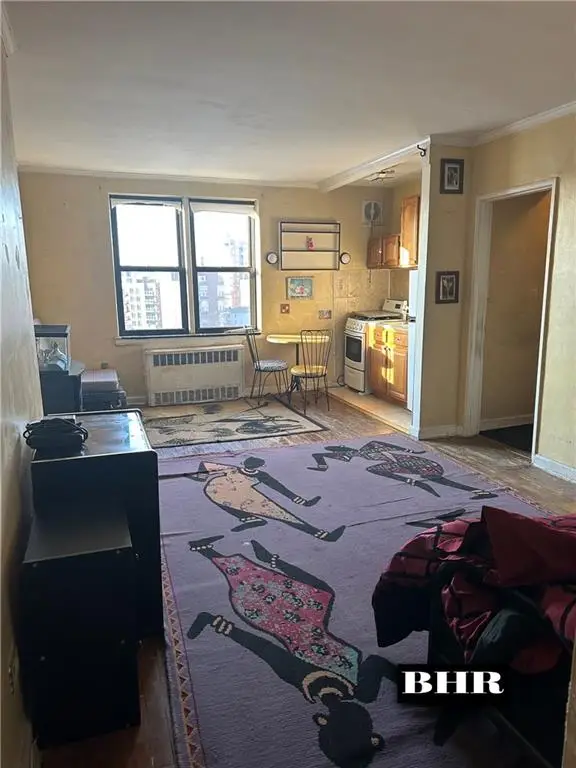 14 Cass Place #6E, Brooklyn, NY 11235