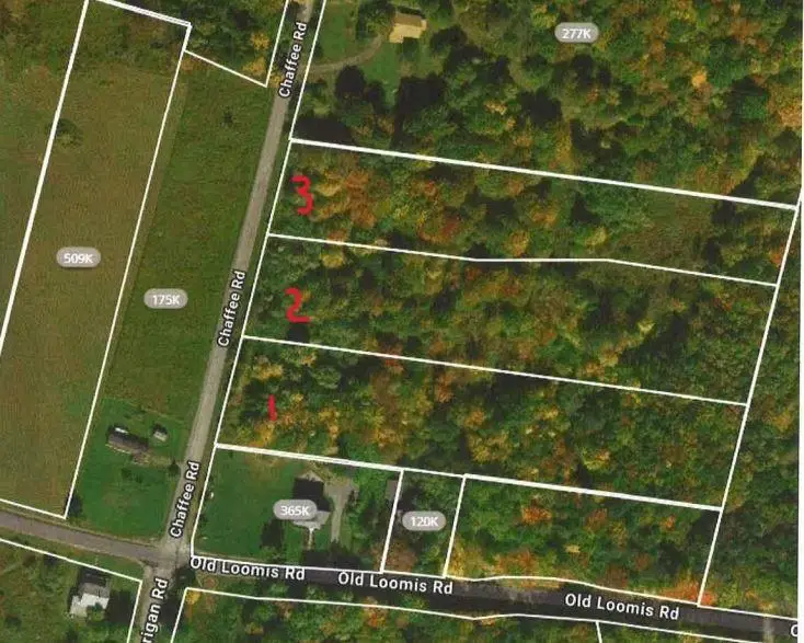 1 Chaffee Road, Liberty, NY 12754 - #1