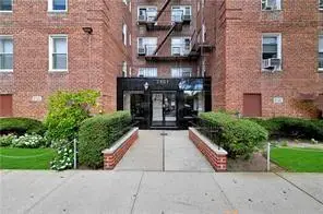 2427 East 29th Street #4D, Brooklyn, NY 11235