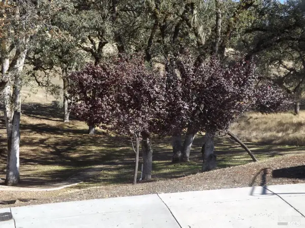 2521 Bartlett Court, Ukiah, CA 95482