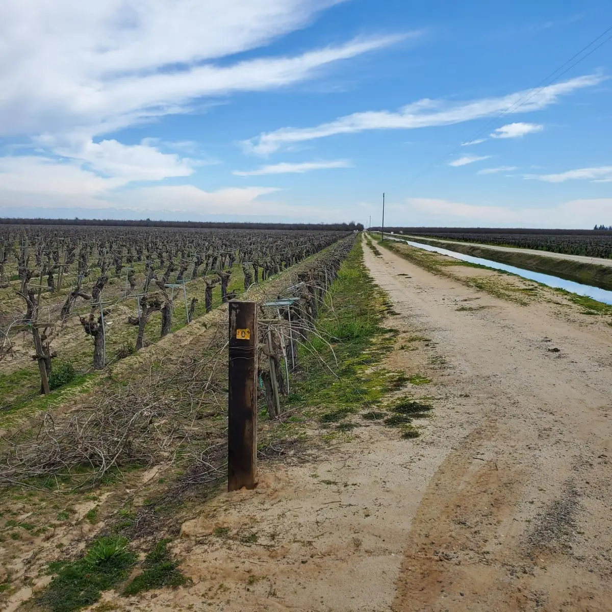 7517 Highway 145, Madera, CA 93637 - #1