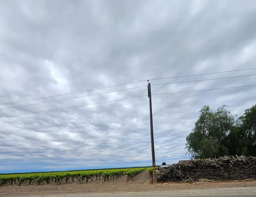 7517 Highway 145, Madera, CA 93637 - #3