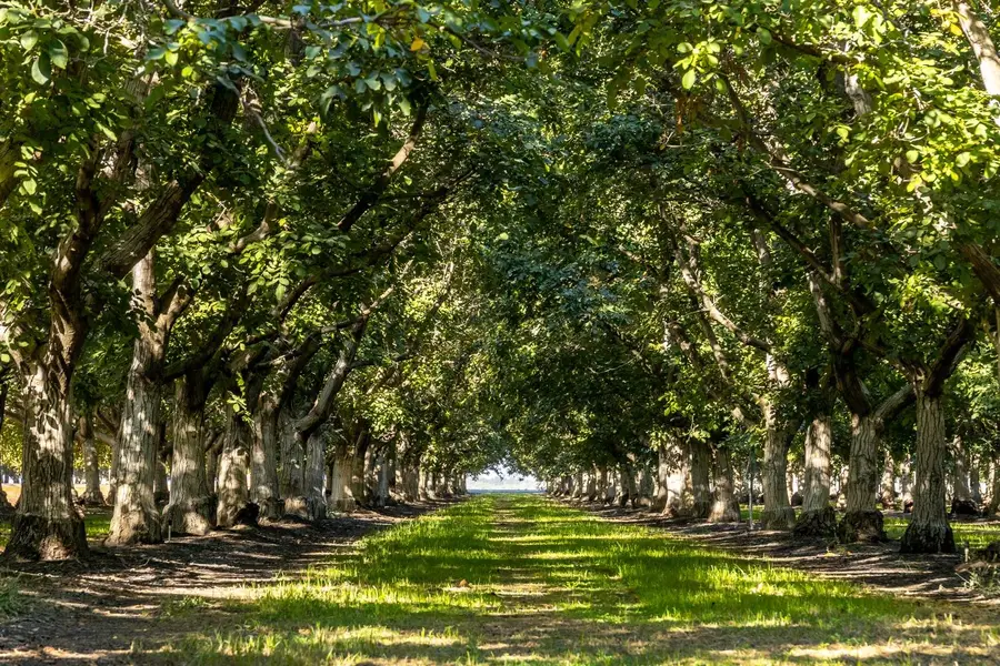 1604 Ca-45, Grimes, CA 95950 - Image #2