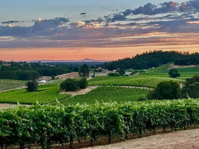 12551 Steiner Road, Plymouth, CA 95669 - Image #1