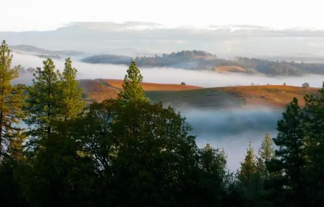 12551 Steiner Road, Plymouth, CA 95669 - Image #2