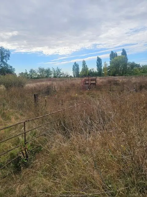 999510 W Rindge Road, Stockton, CA 95206 - #2