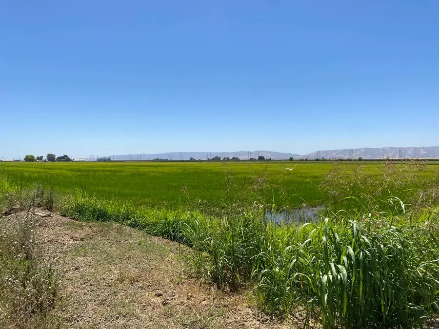 0 County Road 29a, Woodland, CA 95695 - #2