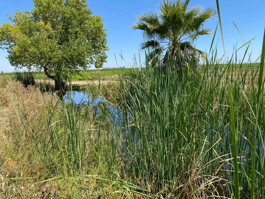 0 County Road 29a, Woodland, CA 95695 - #3