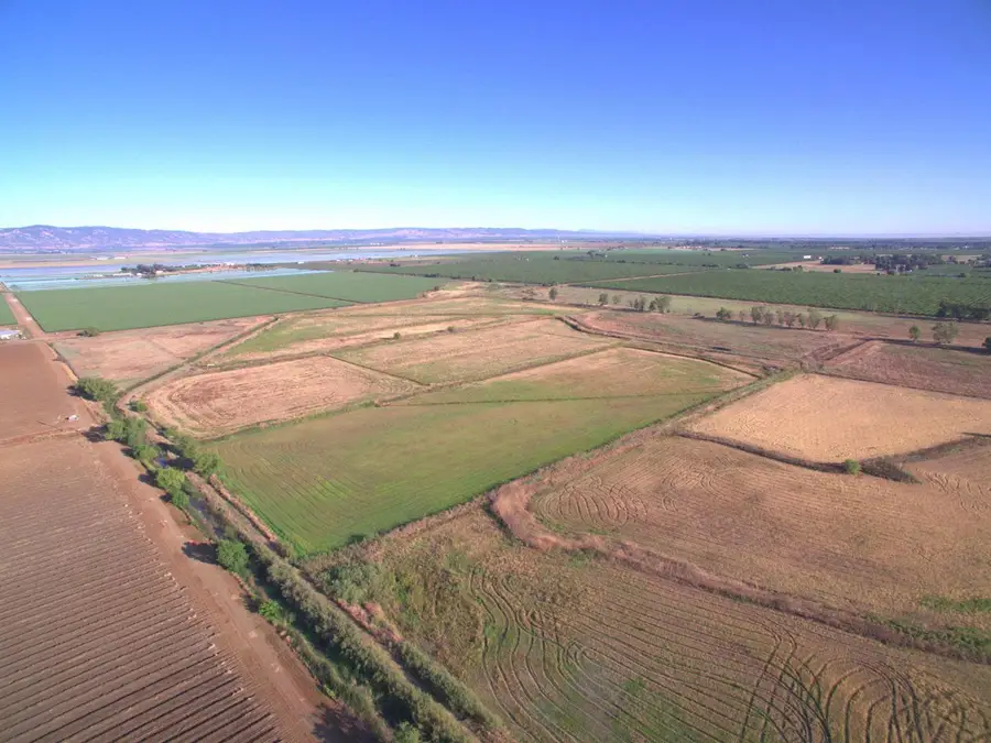 21000 County Road 95, Woodland, CA 95695 - #2
