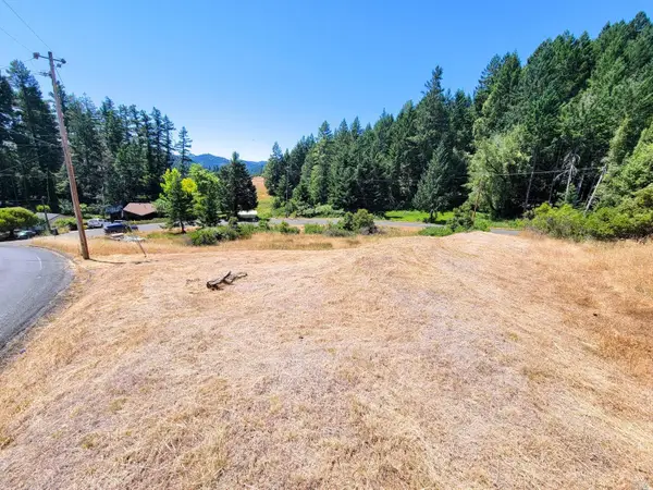 2891 Primrose Drive, Willits, CA 95490